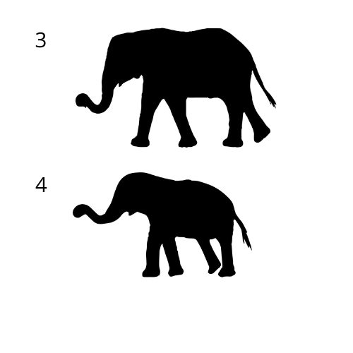 Elephant Family Elephants 3 & 4