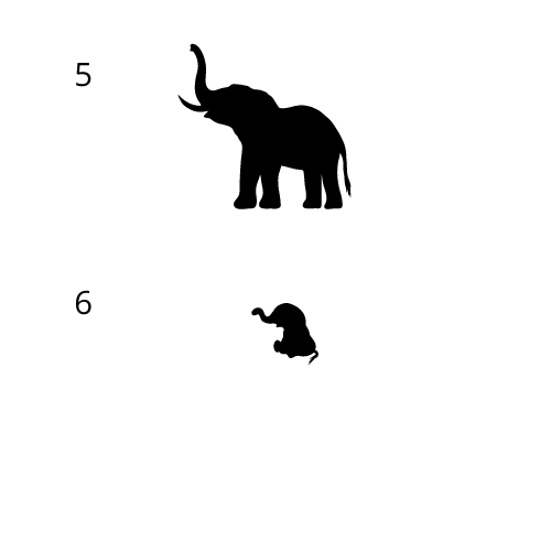 Elephant Family Elephants 5 & 6